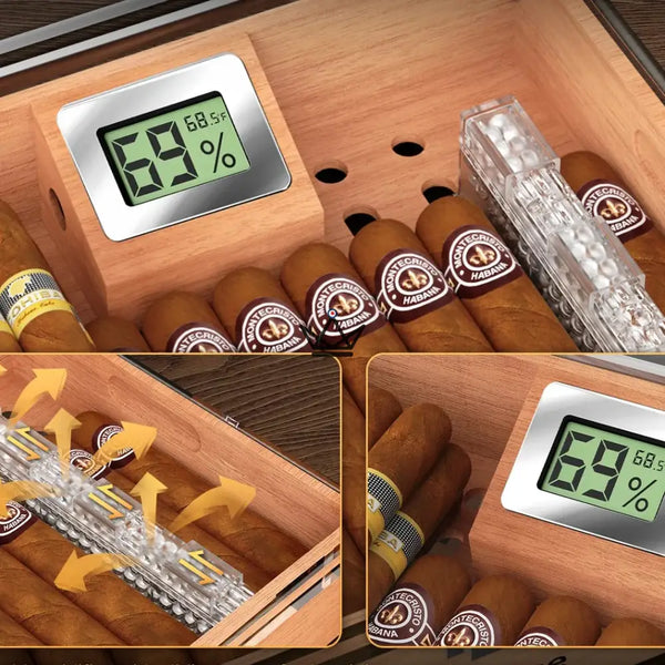 Aerion Vault Luxus-Zigarrenhumidor – Eleganz und Transparenz