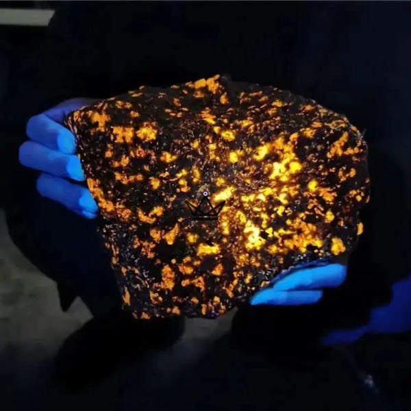 Roher Yooperlite-Stein, fluoreszierend, leuchtet unter UV-Licht — GLÜHWÜRMCHEN – 7/8