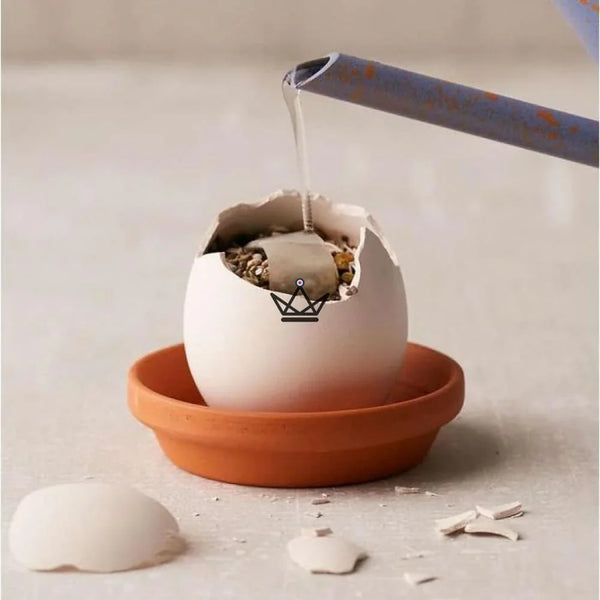 EGGLING - L'oeuf plante X3 - Atelier Atypique