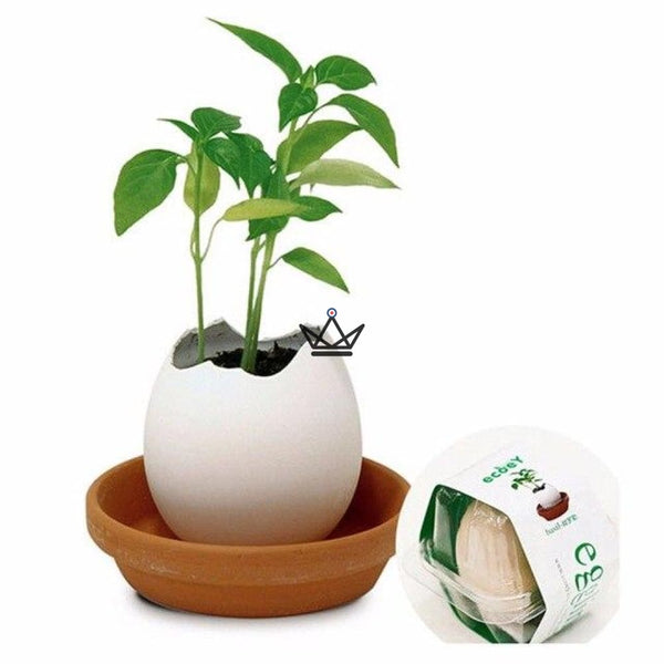 EGGLING - L'oeuf plante X3 - Atelier Atypique