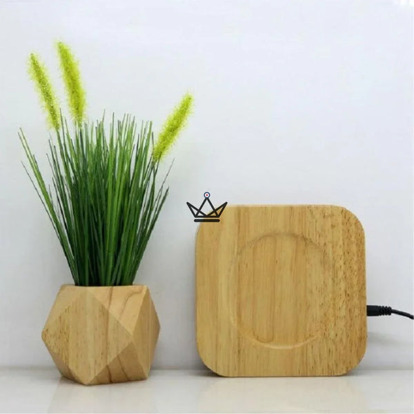 Plante en lévitation Bois - TIBET - Atelier Atypique