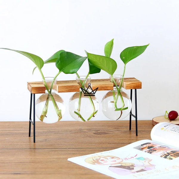 Terrarium en ampoule - ETABLY - Atelier Atypique