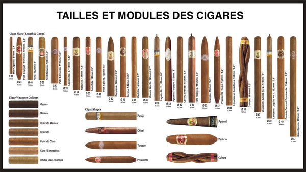 Les 7 formats de cigares les plus populaires