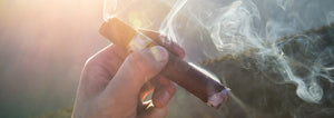 Les Secrets de la Dégustation de Cigare : Comment Apprécier chaque Bouffée