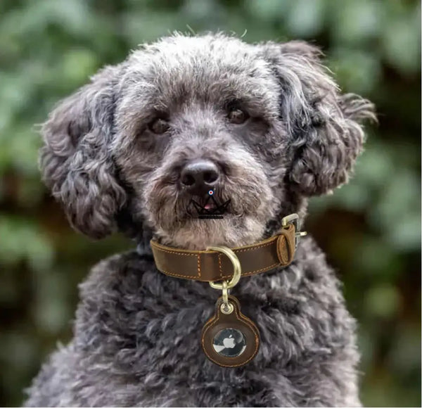 Personalisierbares Lederhalsband für Hunde, AirTag-Fach – Voyager Argos